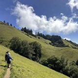 Bolinas Ridge Hikes