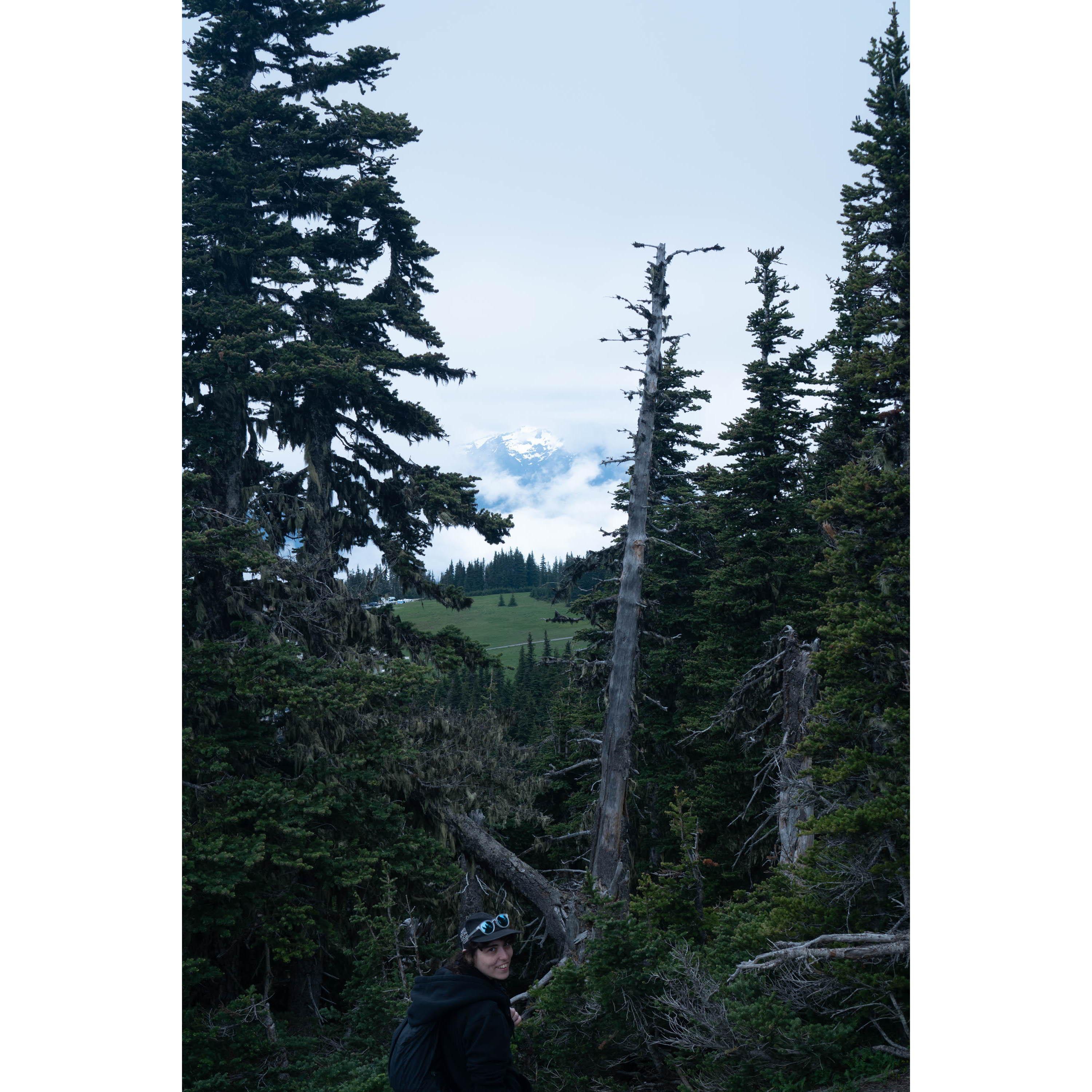 View from Hurricane Ridge, Rex for scale