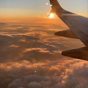 Honeymoon Fund 🌴😎