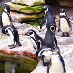 Akron Zoo