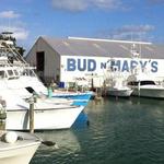 Bud N' Mary's Marina