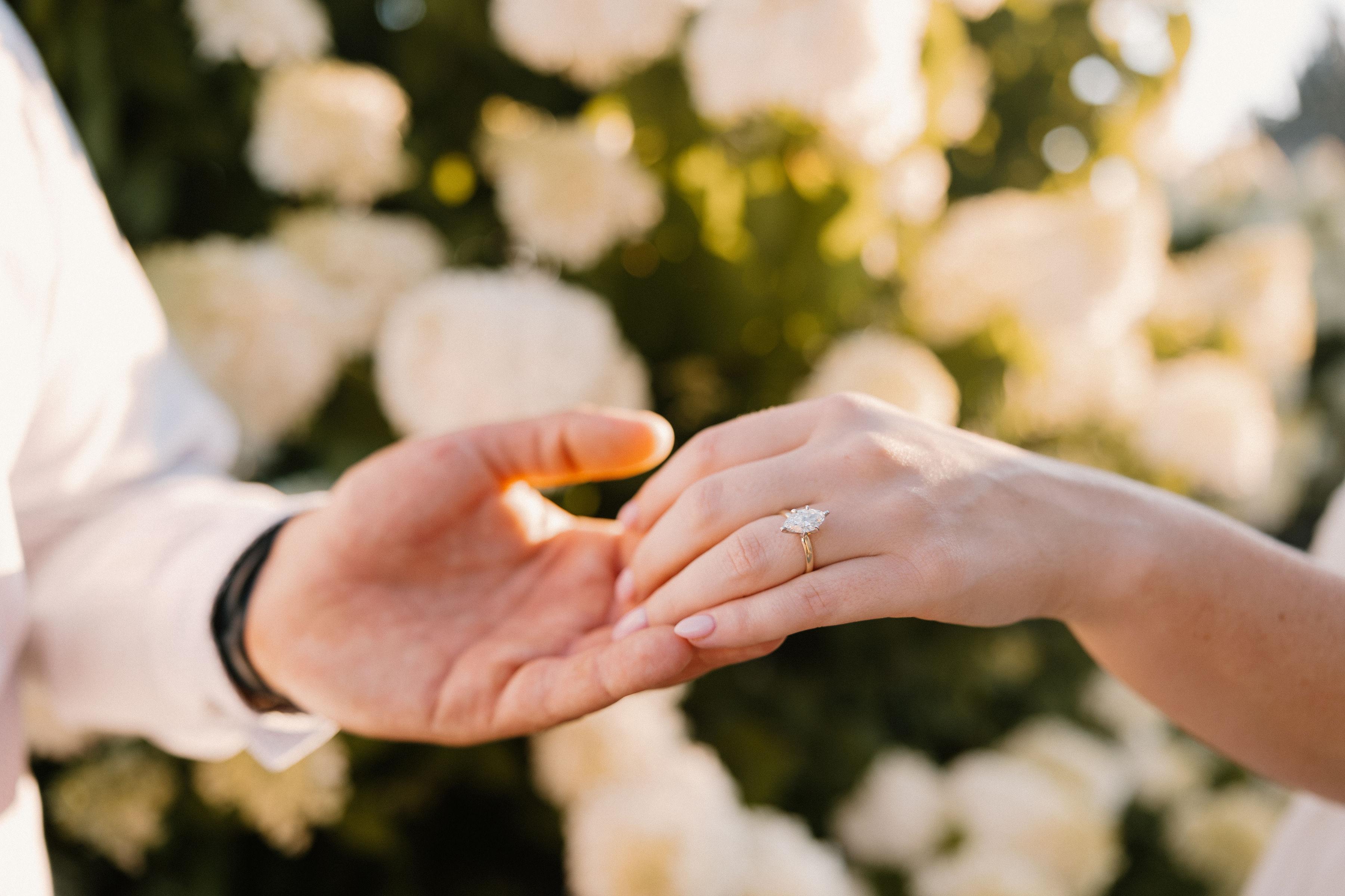 The Wedding Website of Amanda Alflen and Mike Kalkbrenner
