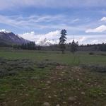 Greater Area of the L-T Ranch