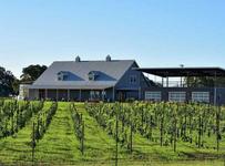 Kuhlman Cellars