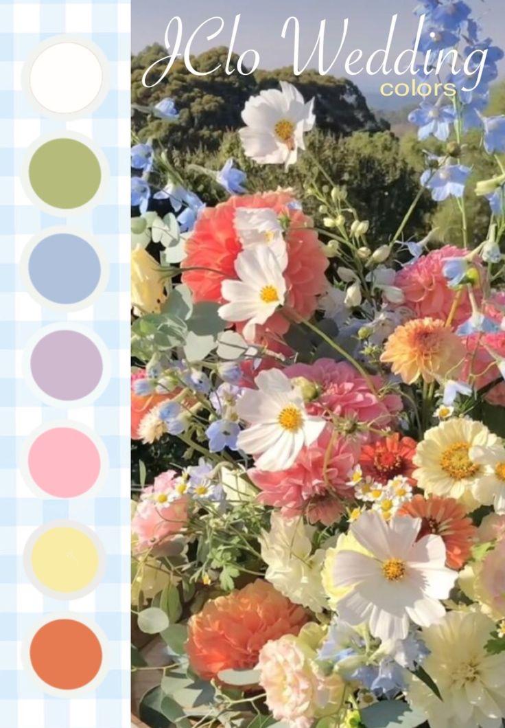 The Wedding Website of Chloe MacKenzie Taylor and Jackson Stanley Larson