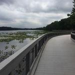 Congers Lake