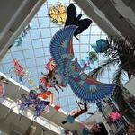 Museo de Arte Popular