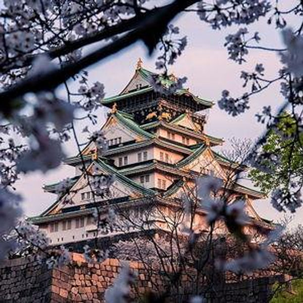 Honeymoon Stay - Osaka