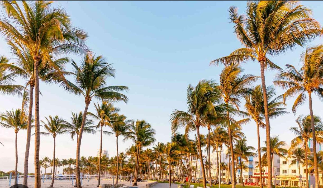 b9e63ea5-b8cf-47c7-b53e-106b922dd26e