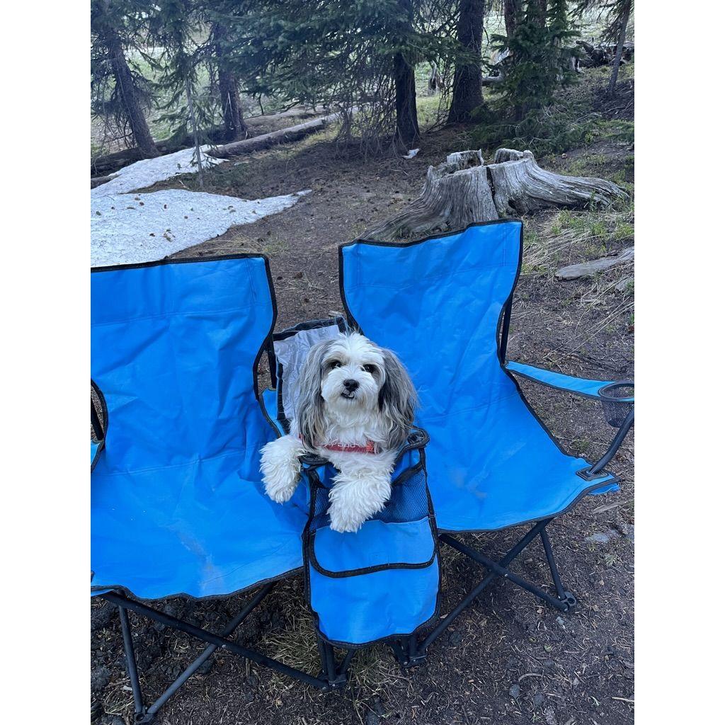 Chew loves going on camping trips with us!