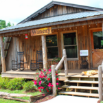 Cavender Creek Vineyards