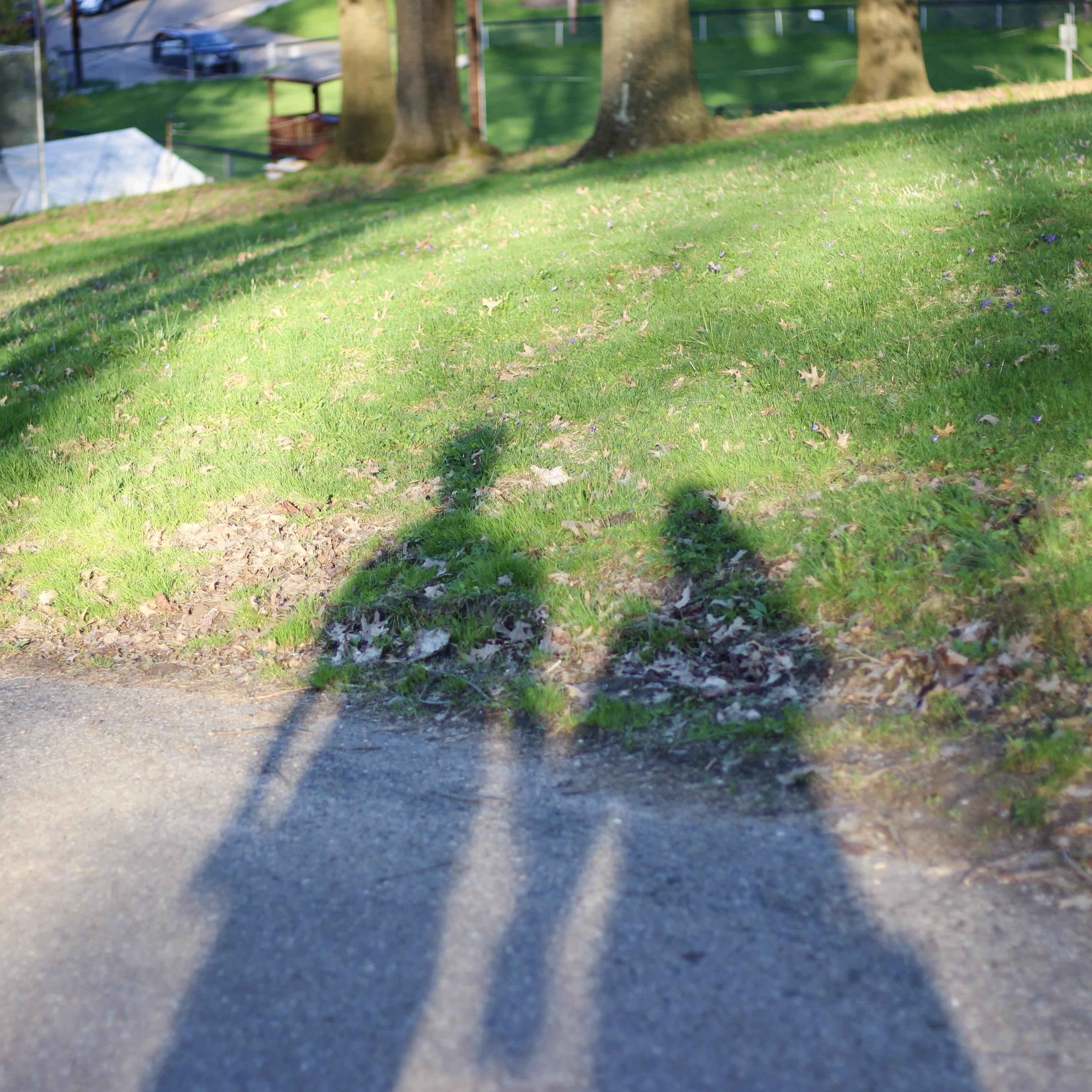 A walk in Dormont Park, 2019