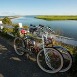 Cape Cod Rail Trail