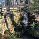 Donald E. Davis Arboretum