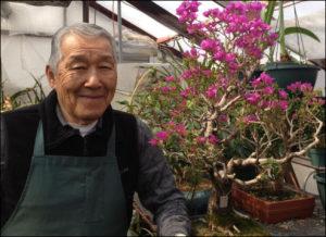 Colorado Bonsai Classes