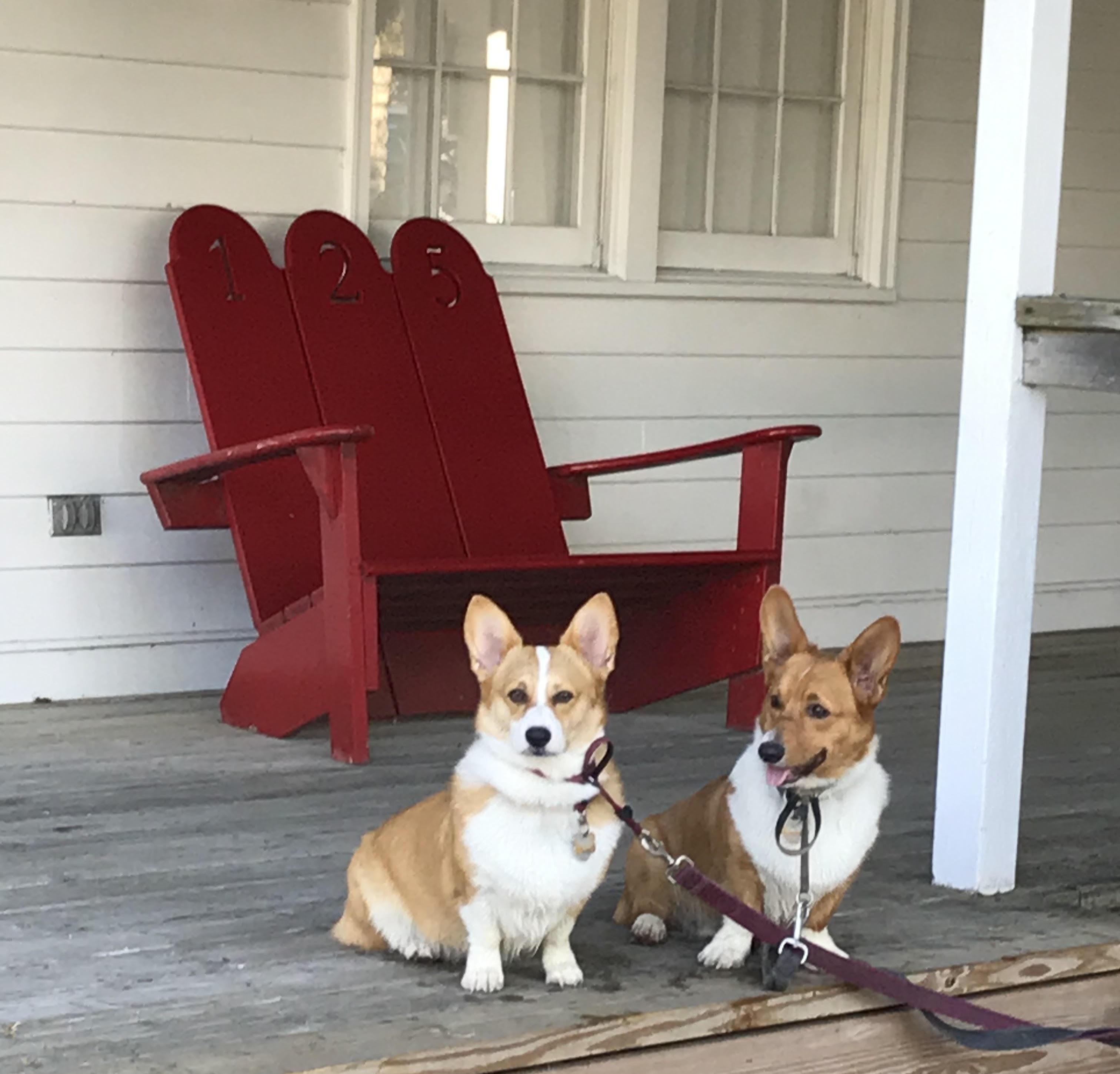 The Wedding Website of Emily Akin and Jacob Mayo