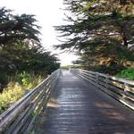 HMB Hiking Trails