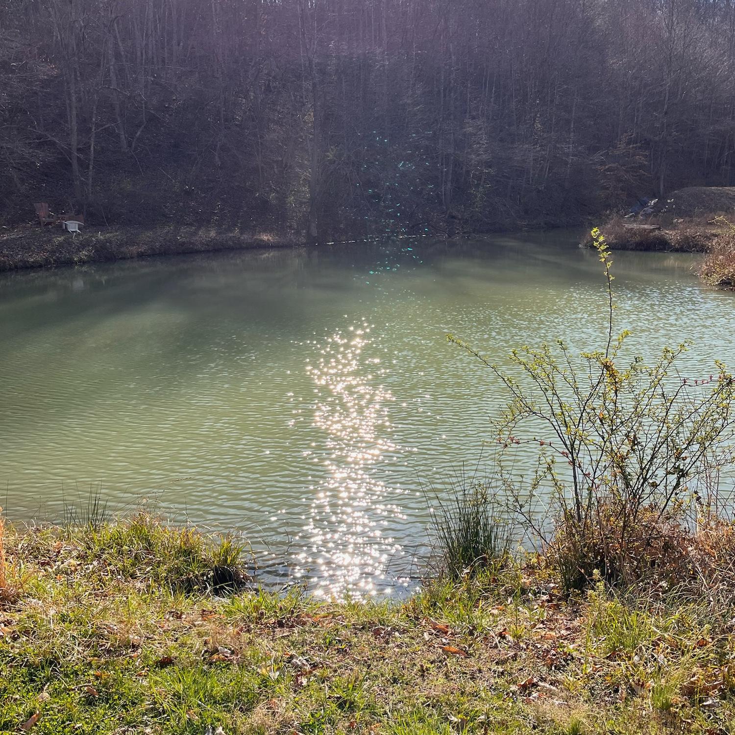 The Pond from the rocks