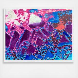 Conus II Wall Art