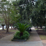 Marion Square