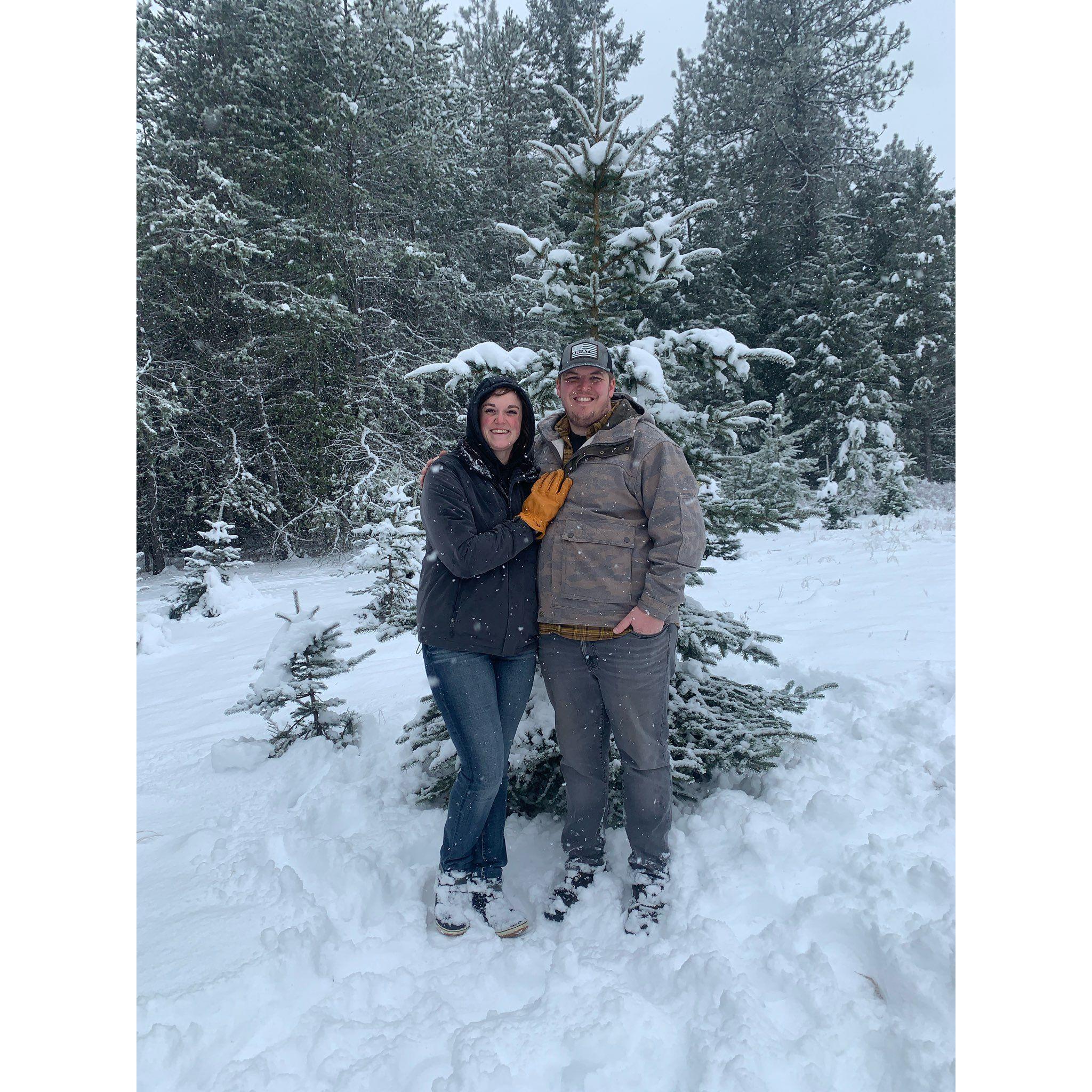 December 3, 2023 - Jack's family goes up to Lee & Addy's Tree Farm to pick out their Christmas trees every year. He took me with them and we got a tree for his house and a tree for my house.