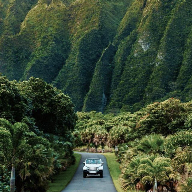 Rental Car - Honeymoon