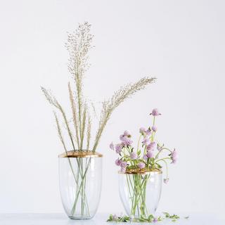 Clear Glass Vase with Metal Frog Lid