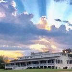 Upper Shirley Vineyards