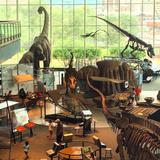 Maryland Science Center