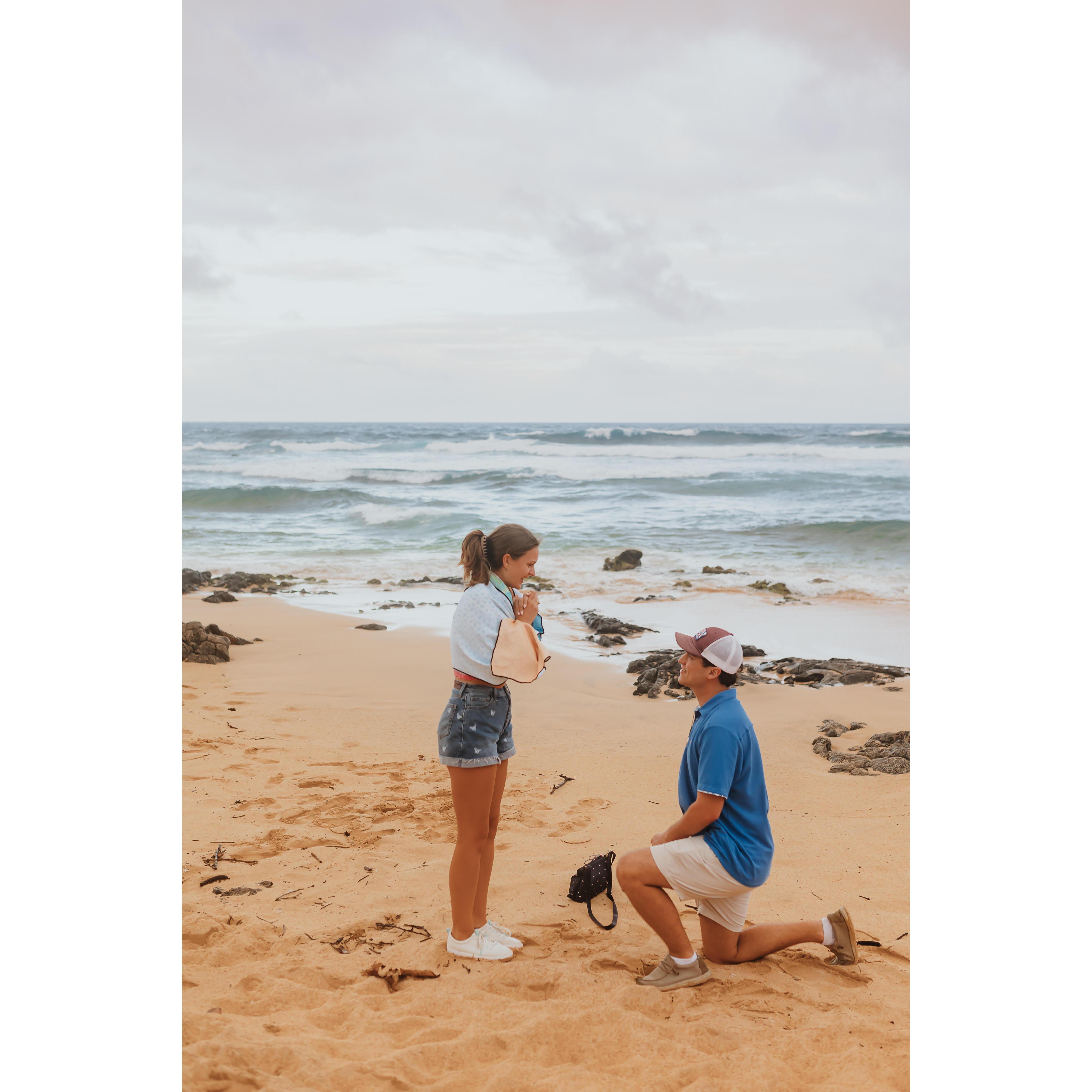 The most exciting surprise ever!!!!