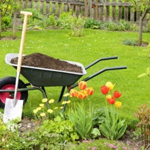 Home/Yard Improvements Cash Fund