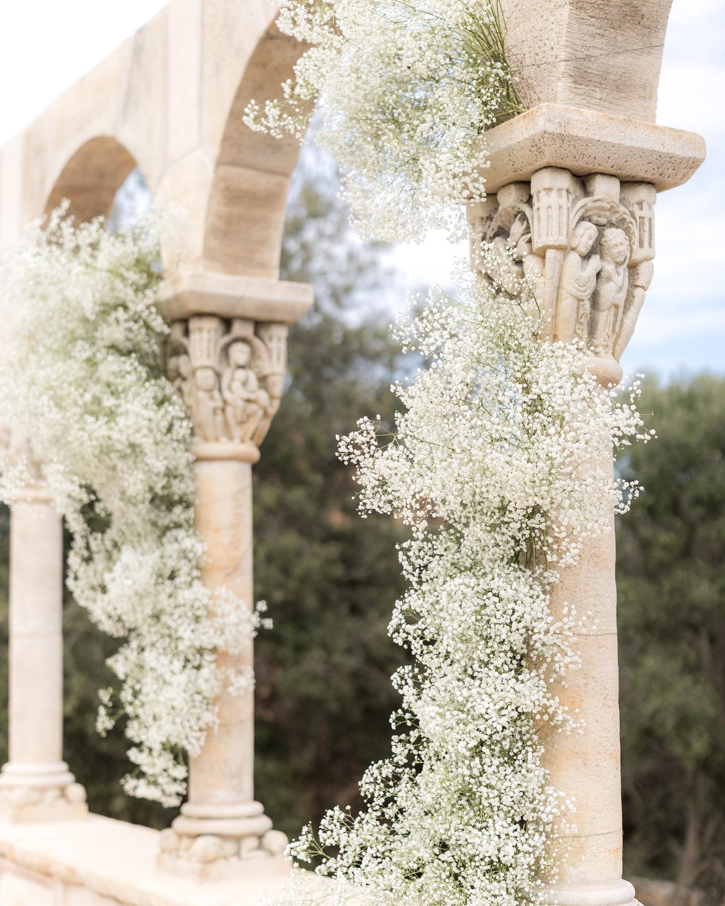 The Wedding Website of Alexandra Fleet and Ian McCabe