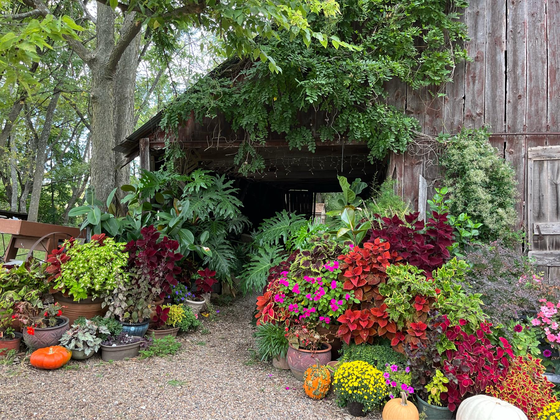 The Wedding Website of Destiny Zamudio and Keith Ferguson