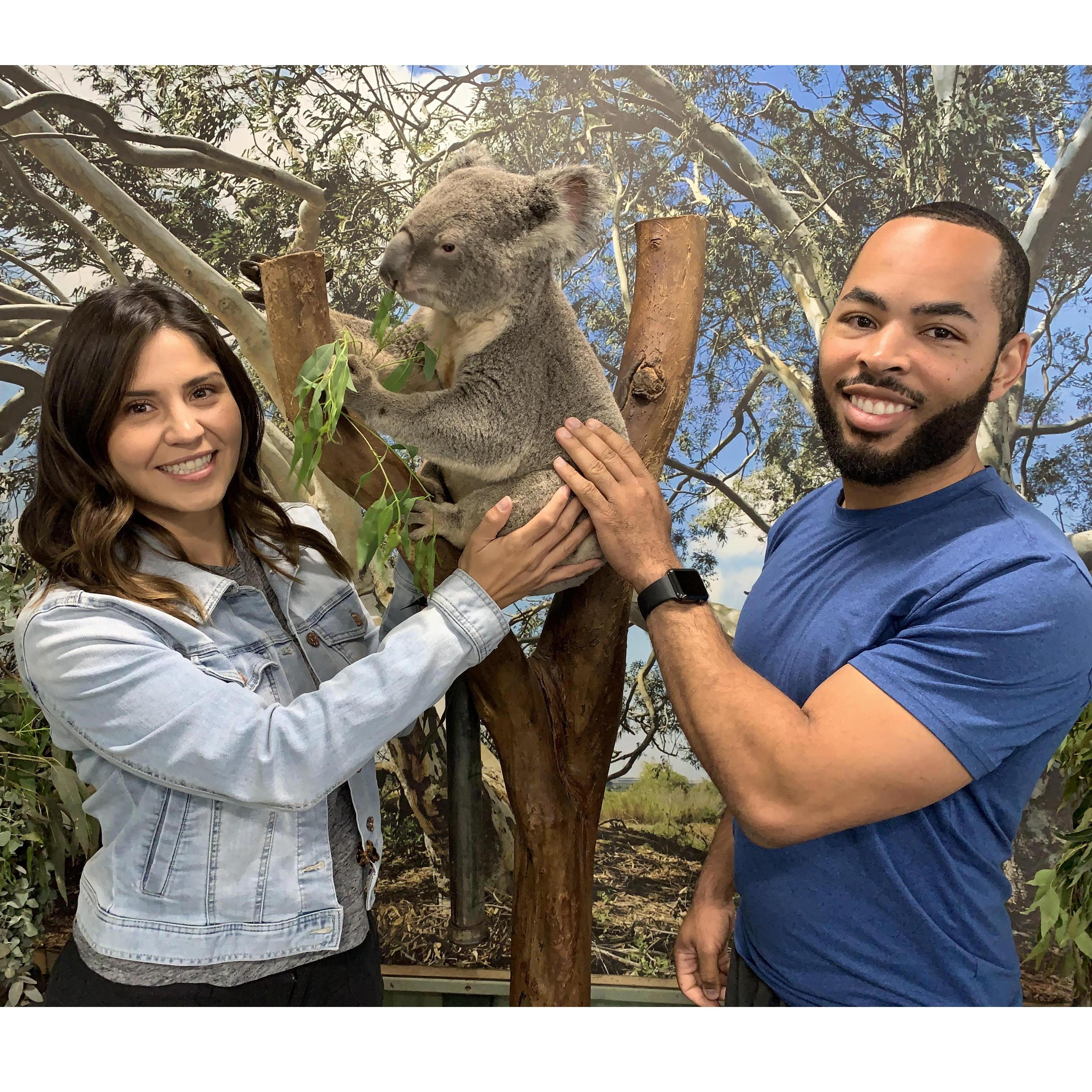 Australia November 2018