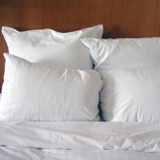 450 Thread Count Sateen Synthetic Pillow