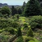 Royal Botanic Garden
