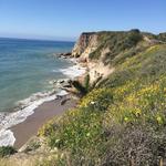 Refugio State Beach