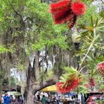 Port Royal Farmers' Market