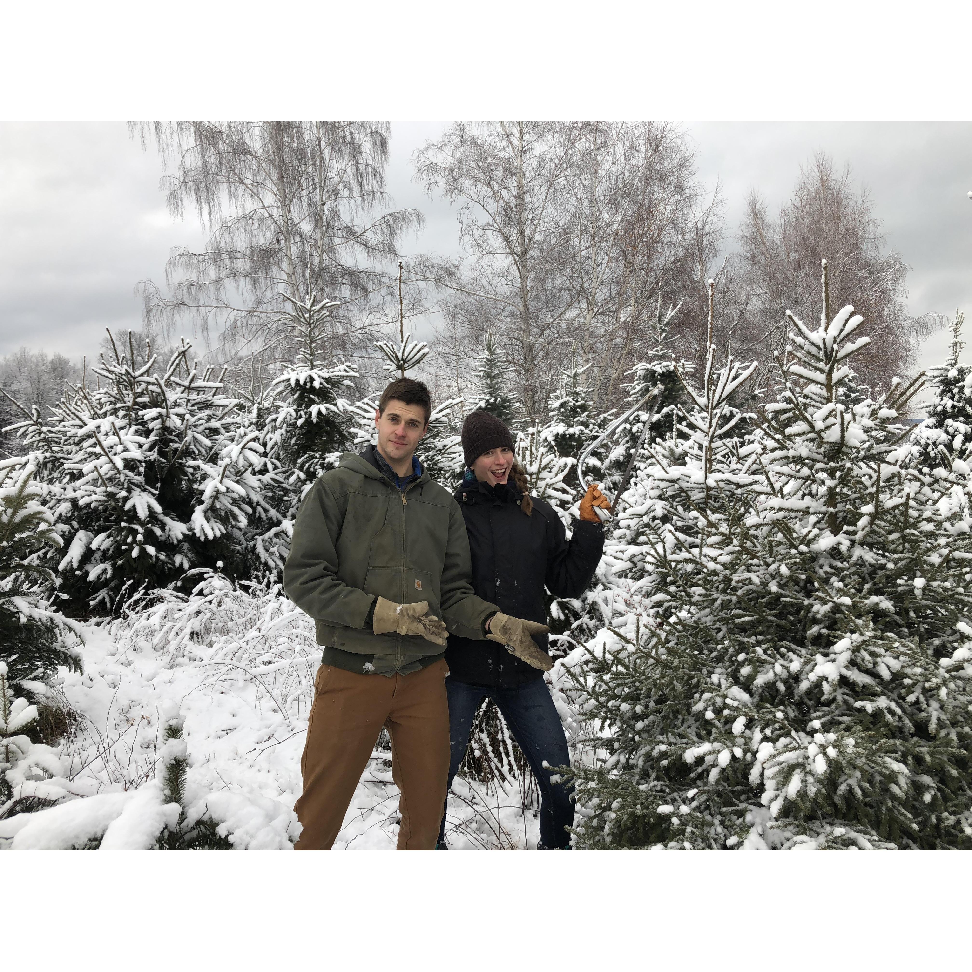 Johnson Family Tradition of cutting down the Christmas Tree two days before Christmas