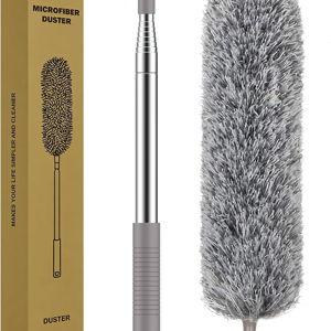Feather Duster