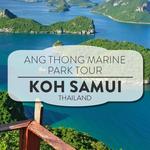 Boat Tour