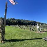 Arrigoni Winery & Cider Co.