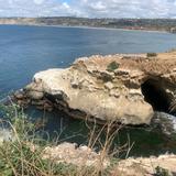 The Cave Store