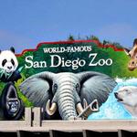 San Diego: San Diego Zoo