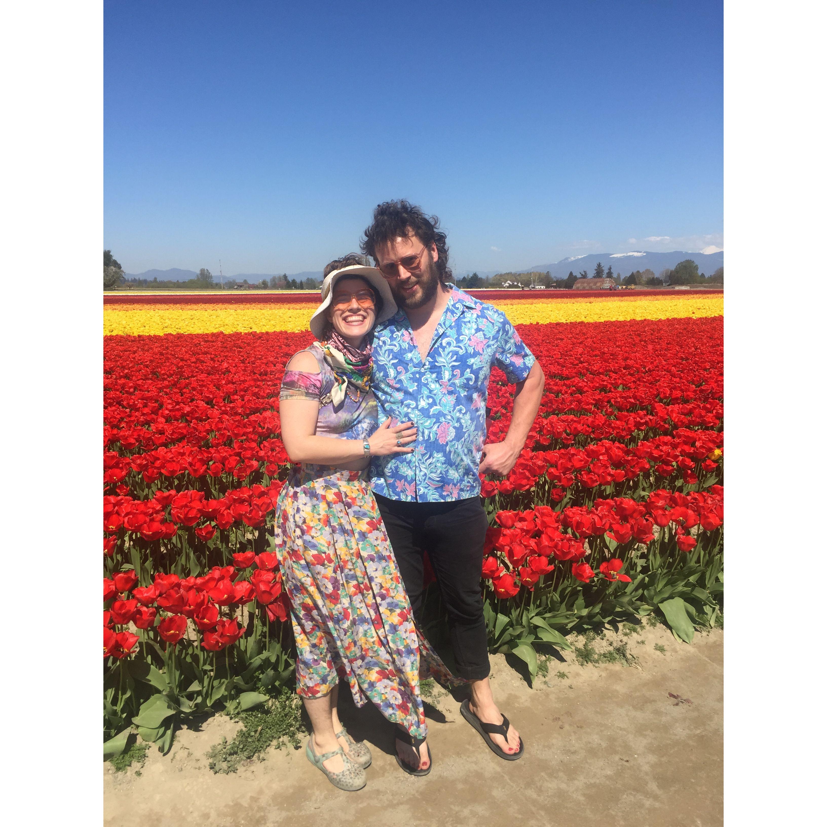 Skagit Valley Tulip Fields