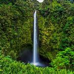 Akaka Falls State Park
