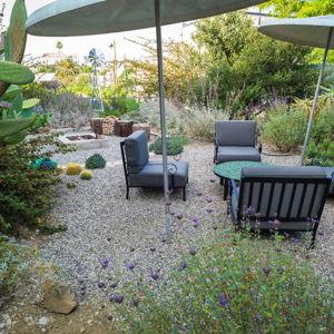 Native Plant Back Yard Renovation