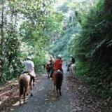 Horseback Riding