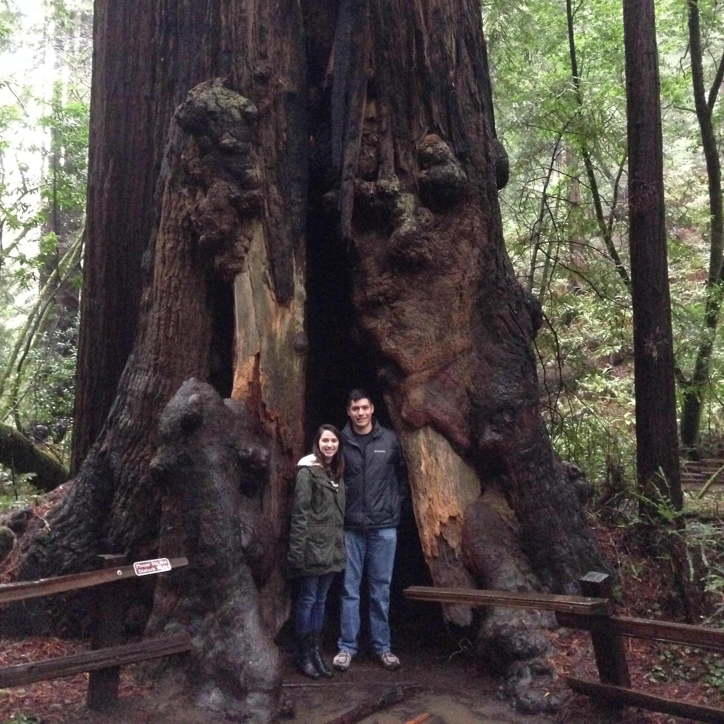 Our first anniversary was a weekend in San Francisco! We got to explore Muir Woods on a cool drizzly day.