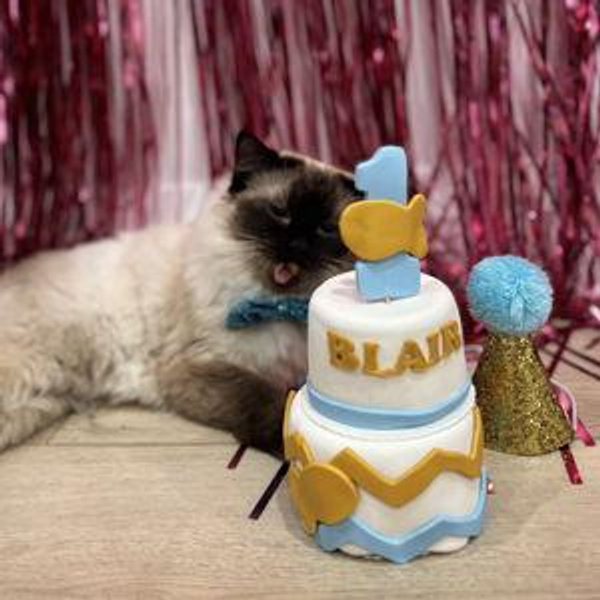 Blair’s Treat Fund